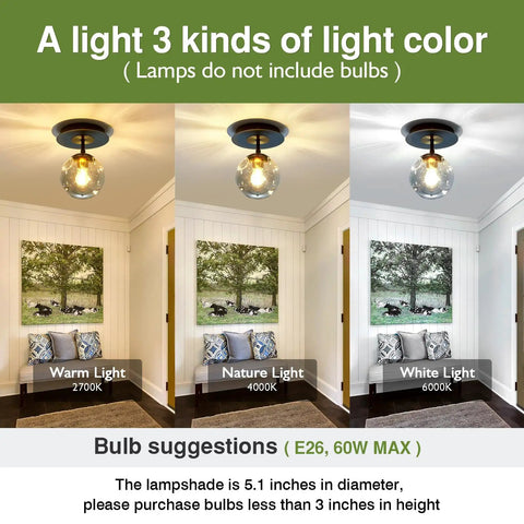 Sleek 1 Light Mini Glass Globe Ceiling Light in Black Finish Semi Flush Mount showing warm, nature, and white light options.