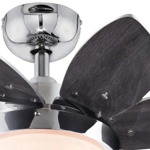 Close-up of Quince 24 Inch Indoor LED Ceiling Fan With Light, Chrome Finish, Reversible Wengue Blades, Downrod Only Installation