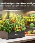 Indoor Hydroponics Growing System Kit With 20 Pod Garden For Homegrown Herbs And Veggies, adjustable LED light, black base