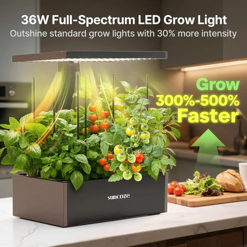 Indoor Hydroponics Growing System Kit With 20 Pod Garden For Homegrown Herbs And Veggies, adjustable LED light, black base