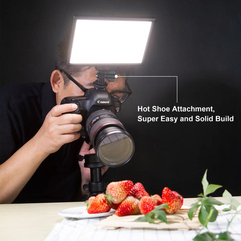 Ultra Thin 15W LED Video Light Panel With Pro-Grade Adjustable 3300K-5600K Color Temperature mounted on camera for shooting strawberries