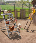 Chicken Perch With Ladder And Swing For Coop Roosting Bars For Chickens Enrichment Toy shown in a wooden outdoor run with birds.