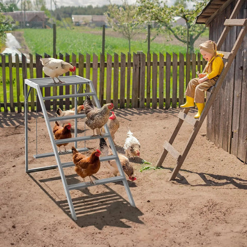 Chicken Perch With Ladder And Swing For Coop Roosting Bars For Chickens Enrichment Toy shown in a wooden outdoor run with birds.