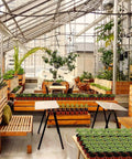 Greenhouse with rows of seedlings and wooden planters, featuring tables and chairs for planting activities.
