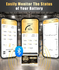 Monitoring screen showing status of Badass 12V 330Ah LiFePO4 Self Heating Lithium Battery with Bluetooth connection.