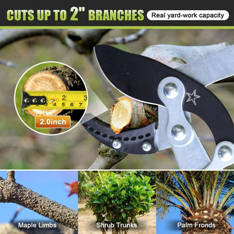 Heavy Duty Extendable Branch Loppers For Pruning 25 To 44 Inch Reach With Lightweight Anvil Loppers Cuts Up To 2 Inch Thick Branches Using Multi Pivot Leverage For No Sweat Easier Tree Limb Trimming in action trimming a branch with measurement scale shown.