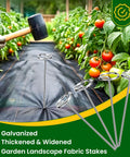 Heavy Duty 6 Inch Galvanized Landscape Staples 8 Gauge 200 Pack for securing garden weed barrier in tomato patch