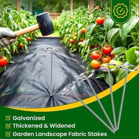 Heavy Duty 6 Inch Galvanized Landscape Staples 8 Gauge 200 Pack for securing garden weed barrier in tomato patch