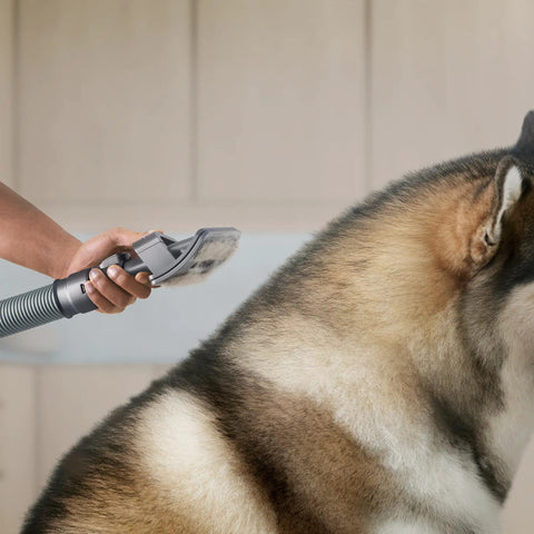 Person using Groom Tool For Upright Vacuums That Makes Pet Hair Cleanup A Breeze With Fine Bristles on a long-haired dog