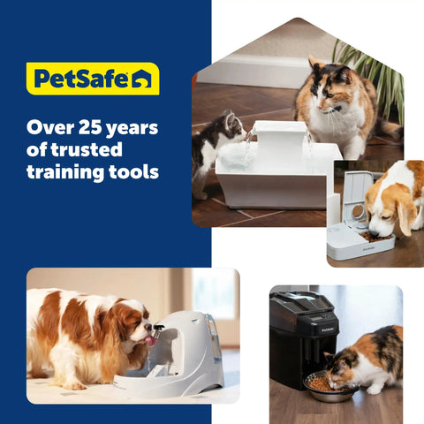 Hassle Free Double Pack Small Gravity Pet Food Station With Stainless Steel Bowl For Cats And Dogs Space Saving Self Dispenser in use with pets.