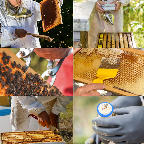 13 Piece Bee Hives Starter Kit With XXL Bee Suit And Veil Smoker Tools shown in use by beekeeper