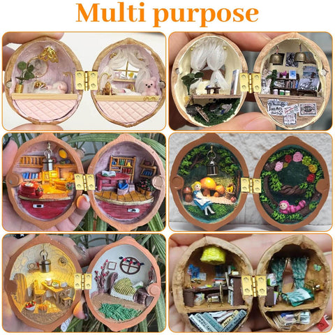 Open walnut shell crafts displaying miniature room scenes with detailed furnishings, showcasing various creative interior designs.