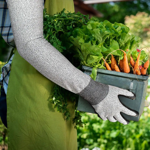 Gardener wearing long gardening gloves with cut resistant sleeves and anti slip nitrile coated palms holding a box of vegetables.
