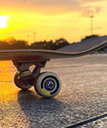 Skateboard wheel with Skateboard Bearings 8mm 8 Pack Pro Grade ABEC 608 Set at sunset