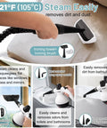 Akpiian Handheld Steam Cleaner For Home Deep Cleaning With 10 Bonus Accessories features a user cleaning a surface at 221°F.