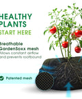 4x8 Ft Home Garden Kit With Drip Irrigation System, Flexible Fabric Planters showing breathable GardenSoxx mesh with roots and tomatoes