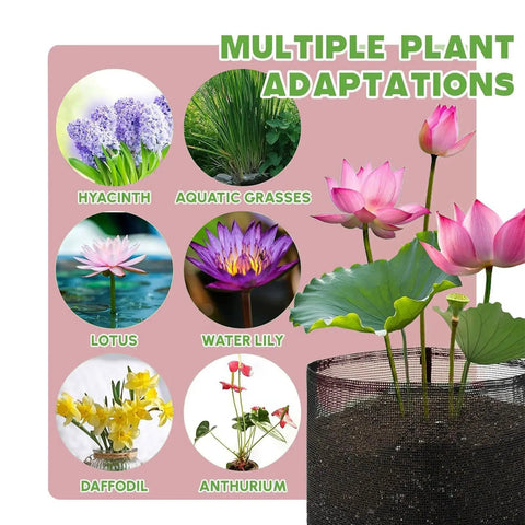 4 Pack Foldable Pond Plant Bags For Hyacinths And Lilies with plant adaptation guide, showcasing various aquatic and terrestrial plants