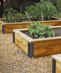 Garden beds with wooden sides and black corner brackets for Set Of Eight Beefy Raised Garden Bed Corner Brackets With Wood Screws For 20 To 24 Inch Beds Heavy Duty Rust Resistant Metal Connectors 11 By 3 By 3 Inches For Vegetable Planter Garden Durable Easy Assembly Included