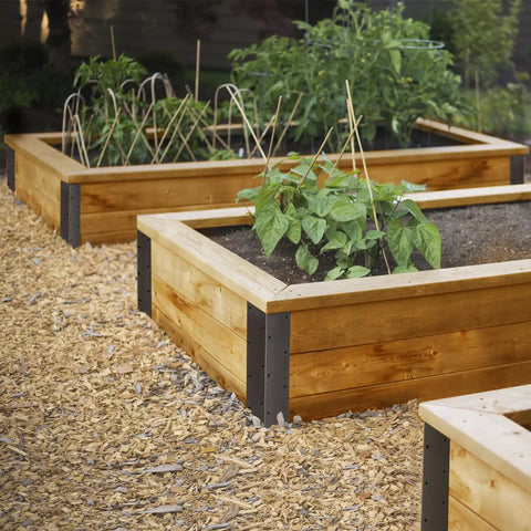 Garden beds with wooden sides and black corner brackets for Set Of Eight Beefy Raised Garden Bed Corner Brackets With Wood Screws For 20 To 24 Inch Beds Heavy Duty Rust Resistant Metal Connectors 11 By 3 By 3 Inches For Vegetable Planter Garden Durable Easy Assembly Included