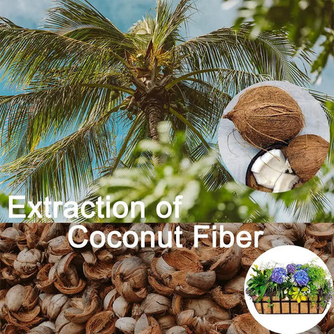 Coconut palm tree, coconuts, and coconut fibers with a basket of flowers, illustrating extraction of coconut fiber.