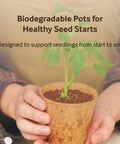 Person holding one of the 3.25 Inch Coconut Coir Biodegradable Pots 22 Pack Plantable Seed Starter Pots Peat Free Eco Friendly Sustainable Garden Containers.