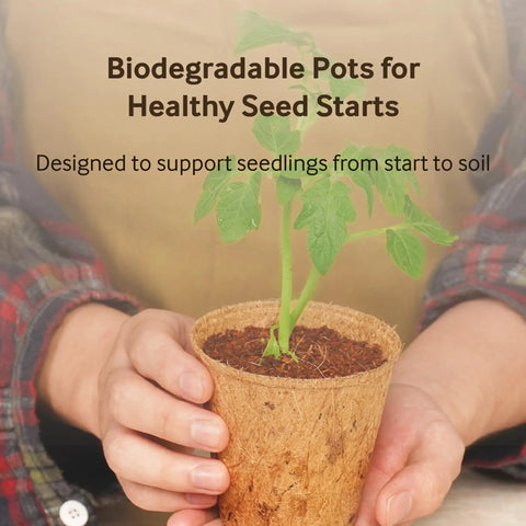 Person holding one of the 3.25 Inch Coconut Coir Biodegradable Pots 22 Pack Plantable Seed Starter Pots Peat Free Eco Friendly Sustainable Garden Containers.