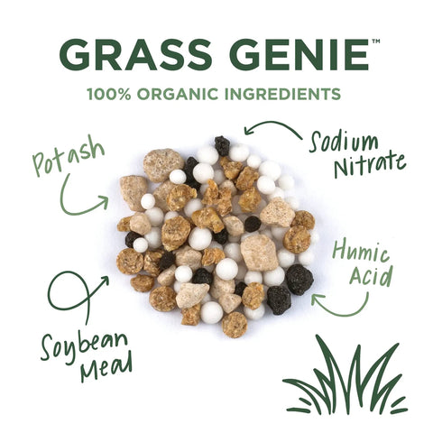 Grass Genie 10-0-6 Organic Spring Lawn Fertilizer ingredients including potash, sodium nitrate, humic acid, and soybean meal.