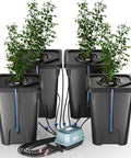 Four Buckets DWC Hydroponics Growing System With Top Drip Kit Seven Gallon Deep Water Culture Buckets Air Pump Air Stone And Air Hose