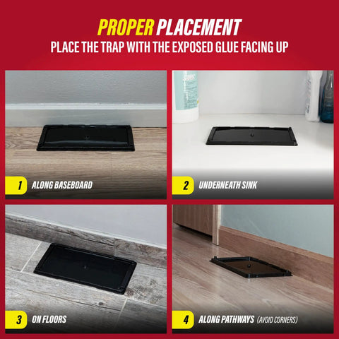 Proper placement of Heavy Duty Rat And Mouse Glue Traps 10 Pack Odorless Sticky Pest Control Pad indoors, shown in four locations.