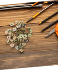 50 Pack Of Straight Up Solid Iron Captive Nut Fasteners With Top Shelf License Plate Screw Retainer Clips on wooden surface.