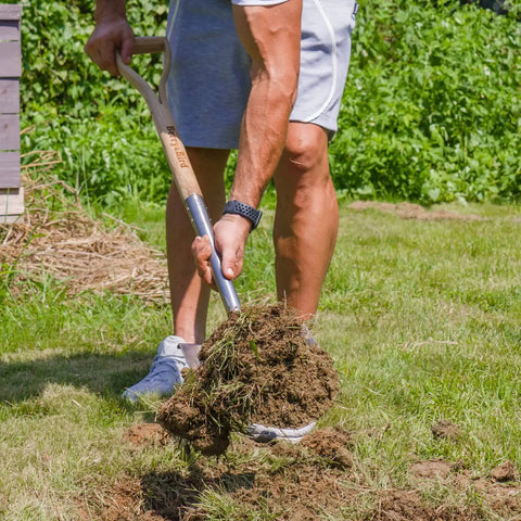 Person using Heavy Duty 43 Inch Round Shovel With Wooden D Handle And Stainless Steel Blade Built Tough For Digging Transplanting Planting Shrubs Snow Shoveling And Outdoor Yard Work in a garden.