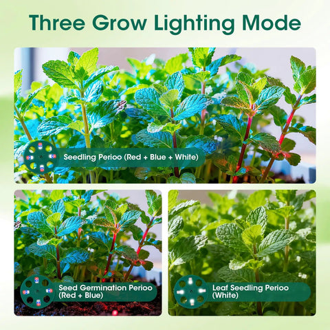 Self Watering Seed Starter Tray With Grow Light 60-Cell 5-Pack, showcasing three grow lighting modes for indoor gardening.