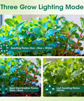 Three grow lighting modes for Self Watering Seed Starter Tray With Gen 3 Full Spectrum Grow Light For Easy No Fuss Seeding.