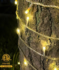 Ultra Long Outdoor Christmas Lights 330Ft 1000 LED String Lights wrapped around a tree trunk, glowing at night