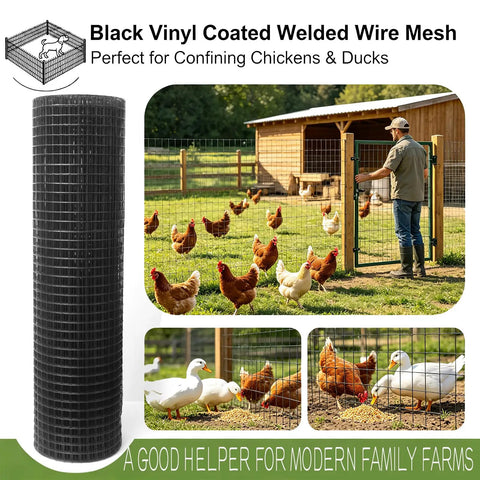 Rock-Solid Heavy-Duty Black Hardware Cloth Fencing, 1/2 Inch 19 Gauge Vinyl Coated Chicken Wire Roll with chickens