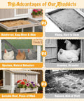 Comparison between Large Chicken Coop With Four Nesting Boxes For Four To Six Hens Outdoor Wooden Poultry Cage features and flaws of other designs