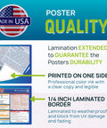 Ohio Labor Law Poster 2026 Laminated Waterproof 26 X 39.5 Inch State And Federal Workplace Notices With OSHA FMLA EEOC And Minimum Wage Updates For No Fuss Boss Level Compliance In Offices Shops And Factories, laminated poster details
