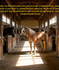 Stainless Steel Horse Tie Ring Kit With Magnetic Fastening System in stable, tethering horses for cross ties and grooming stations.