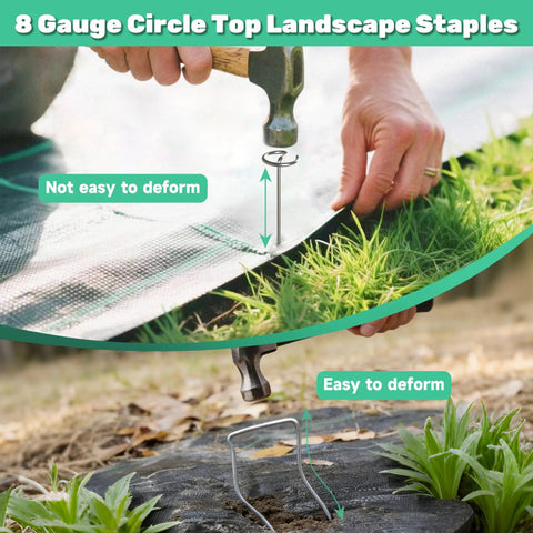 Man installing 12 Inch 8 Gauge Circle Top Landscape Fabric Staples Galvanized Steel Garden Pins for weed barrier