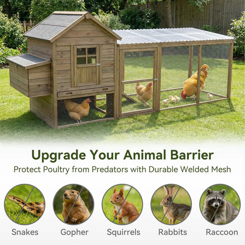 Chicken coop with Hardware Cloth 8 Inch Wide 25 Ft Galvanized Wire Mesh One Quarter Inch Openings for pest protection.