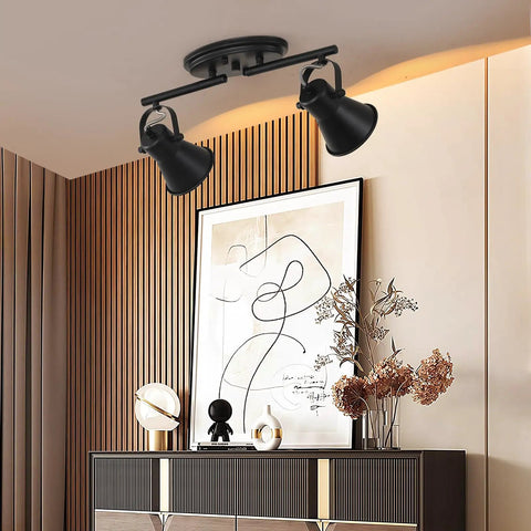 Two Light Black Track Lighting Kit With Adjustable Heads in living room, industrial ceiling spotlight fixture, modern flush mount style.