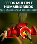 Glass Hummingbird Feeder With Four Flower Ports And Comfortable Perches, Ant Moat And Bee Guards, 8 Oz Nectar Capacity