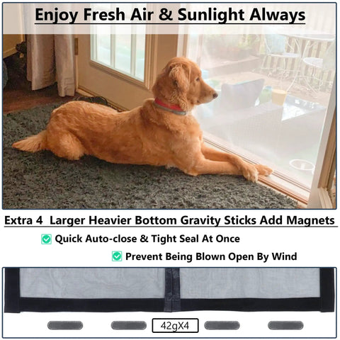 Golden retriever looking through upgraded magnetic screen door with thick 250g/m2 reinforced mesh and 36 heavy magnets black.