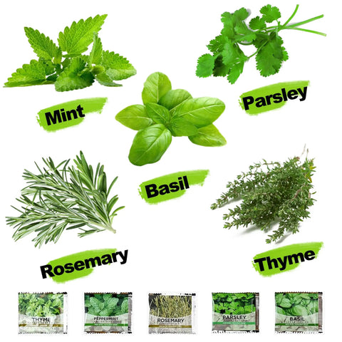 Assorted fresh herbs including mint, parsley, basil, rosemary, and thyme for Five Herb Indoor Starter Kit For Kitchen Garden Complete Planting Set With Planter Bags, Markers, Soil Disks, Mini Shears, And Quick Guide For Easy Beginner Growers To Start A Fresh Indoor Herb Garden.