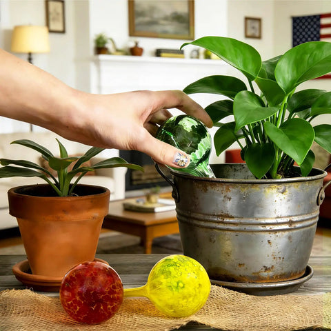 Six Pack Colorful Glass Plant Watering Globes For Indoor Pots And Outdoor Hanging Plants Self Watering Bulbs For Vacation Plant Care No Fuss Drip Irrigation System Easy Garden Patio Watering Solution
