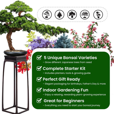 Beginner Friendly Five Varieties Japanese Bonsai Seed Kit for Indoor Gardening with trees, tools, and guide for easy start