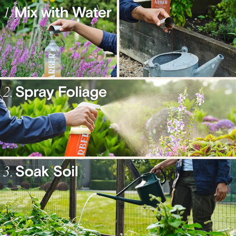 Steps to use All Natural Insect And Fungicide For Plants Indoor And Outdoor Protection Against Powdery Mildew Spider Mites Aphids