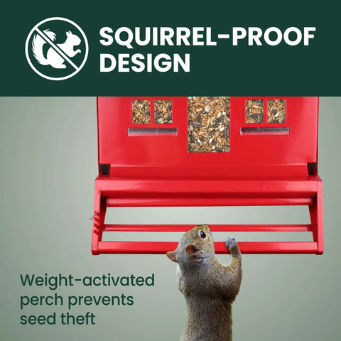Country House Squirrel Proof Bird Feeder With Weathervane 8 Lb Seed Capacity All Metal Durable Construction Easy Fill Outdoor Feeder Rustic Red Backyard Decor For Birds with squirrel at perch demonstrating weight-activated design.
