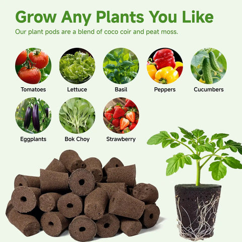 50 Pack Round Hydroponic Growth Sponges For Seed Germination And Plant Rooting In Indoor And Outdoor Gardens with plant