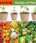 Bulk 130 Pack Organic Peat Pots 3 Inch Top Opening Plant Starter Pots With Drainage Holes Seedlings and various vegetables.
